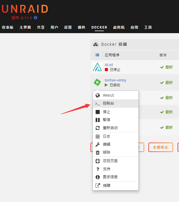 EmbamSub：unraid下Emby安装插件使用方法-初缘Vps小站